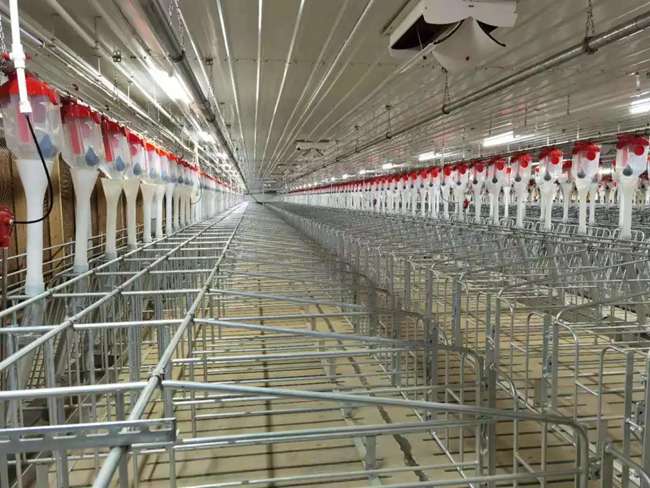 尊龙凯时 - 人生就是搏!