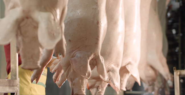 尊龙凯时 - 人生就是搏!