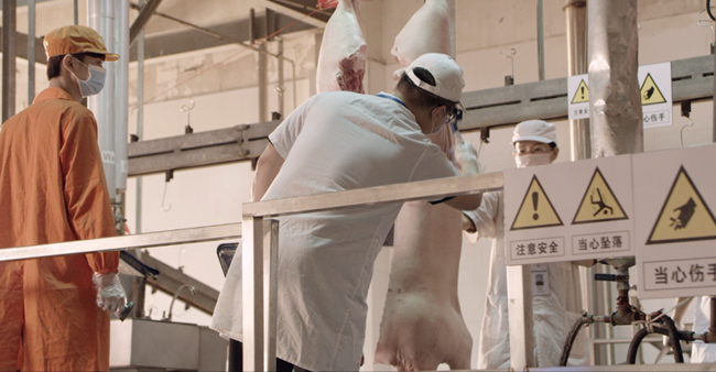 尊龙凯时 - 人生就是搏!