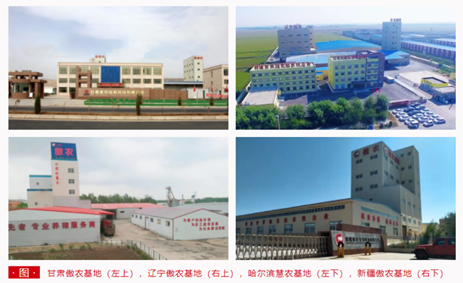 尊龙凯时 - 人生就是搏!