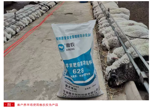 尊龙凯时 - 人生就是搏!