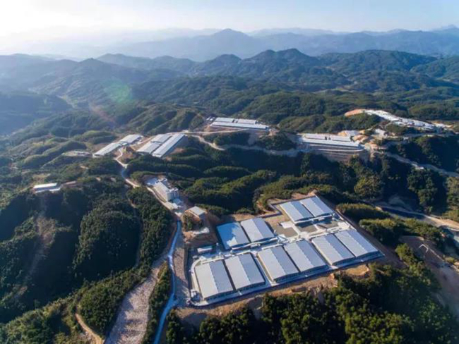 尊龙凯时 - 人生就是搏!