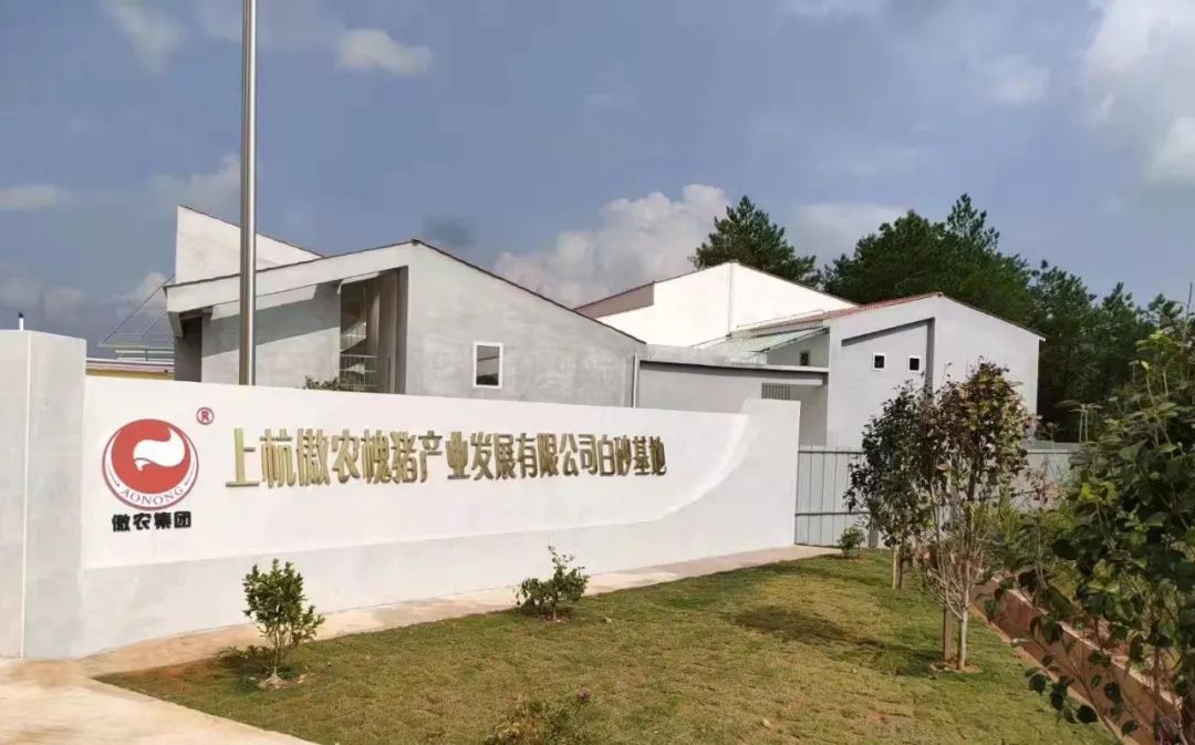 尊龙凯时 - 人生就是搏!