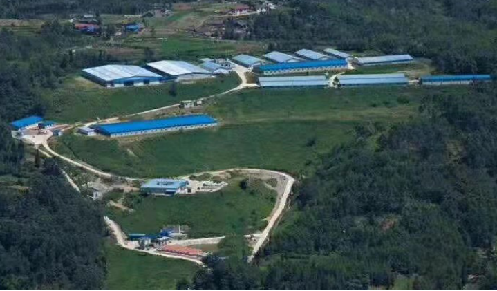 尊龙凯时 - 人生就是搏!