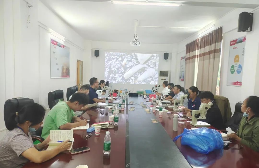 尊龙凯时 - 人生就是搏!