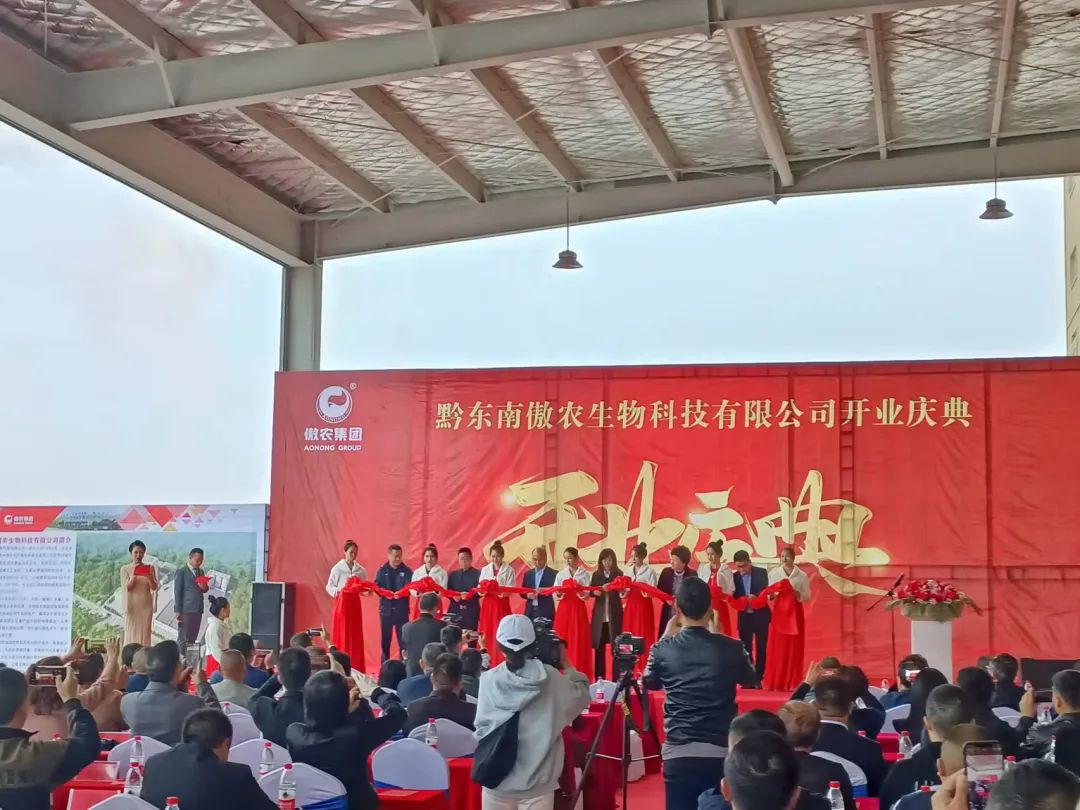 尊龙凯时 - 人生就是搏!