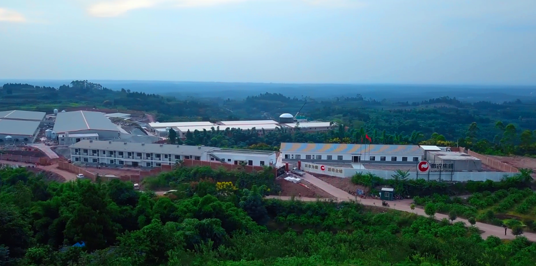 尊龙凯时 - 人生就是搏!