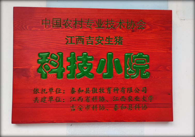 尊龙凯时 - 人生就是搏!