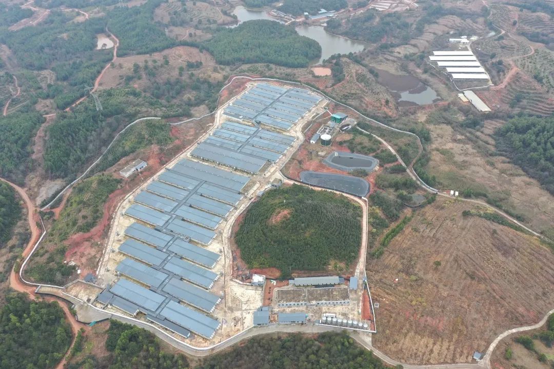 尊龙凯时 - 人生就是搏!