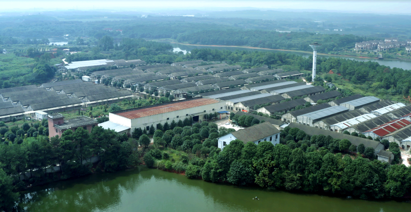 尊龙凯时 - 人生就是搏!