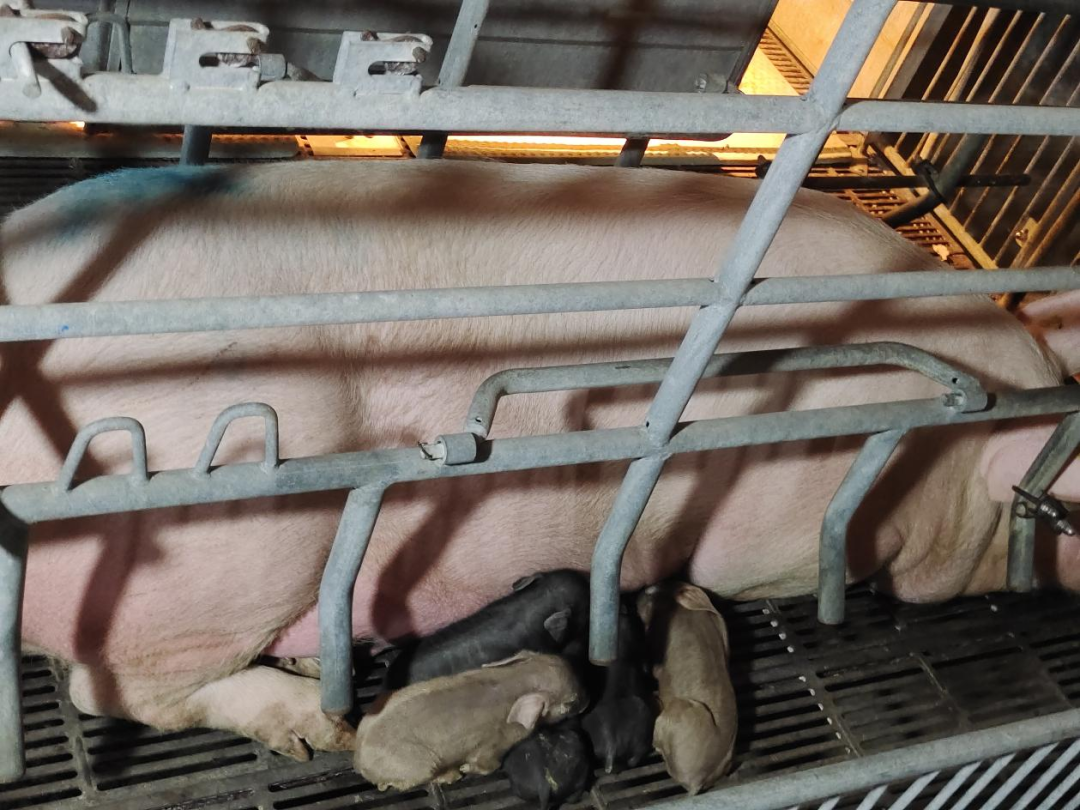 尊龙凯时 - 人生就是搏!