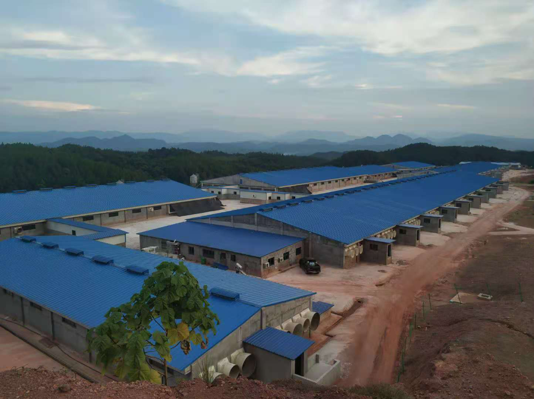 尊龙凯时 - 人生就是搏!