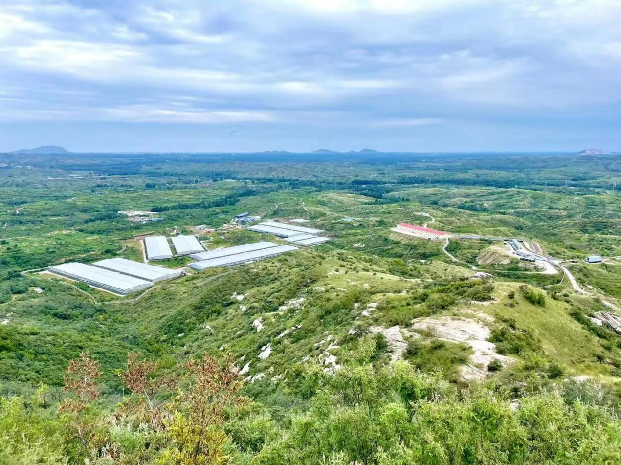 尊龙凯时 - 人生就是搏!