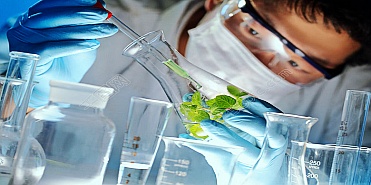 尊龙凯时 - 人生就是搏!