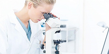 尊龙凯时 - 人生就是搏!